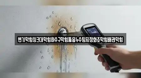 변기막힘싱크대막힘하수구막힘뚫음누수탐지정화조막힘배관막힘