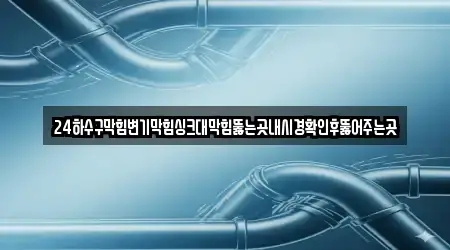 24하수구막힘변기막힘싱크대막힘뚫는곳내시경확인후뚫어주는곳