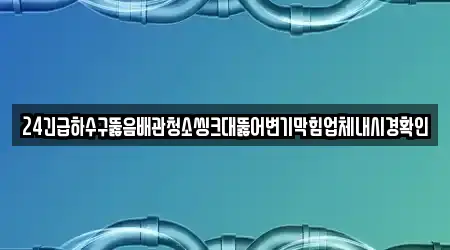24긴급하수구뚫음배관청소씽크대뚫어변기막힘업체내시경확인