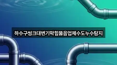 하수구씽크대변기막힘뚫음업체수도누수탐지