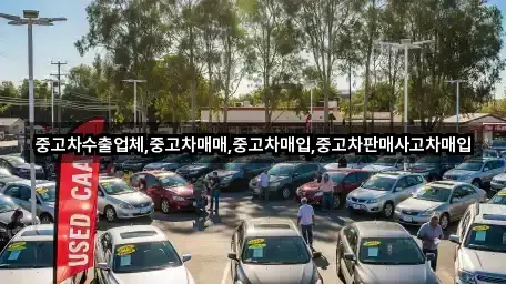 중고차매입 실시간 확인 3곳