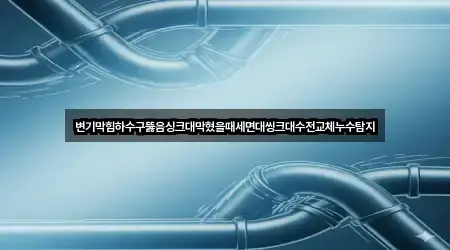 변기막힘하수구뚫음싱크대막혔을때세면대씽크대수전교체누수탐지