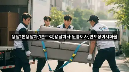 빠른정리 | 강릉시 월호평동 원룸이사 2곳