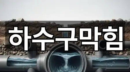 광주광역시 남구 방림동 하수구막힘 1곳 주소 정리