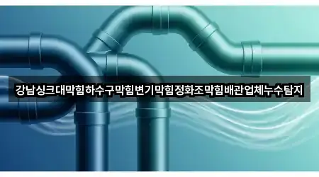 강남싱크대막힘하수구막힘변기막힘정화조막힘배관업체누수탐지