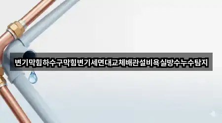 변기막힘하수구막힘변기세면대교체배관설비욕실방수누수탐지