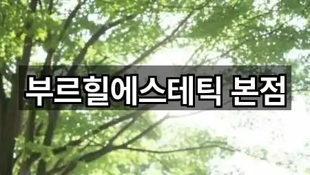 부르힐에스테틱 본점