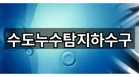 수도누수탐지하수구