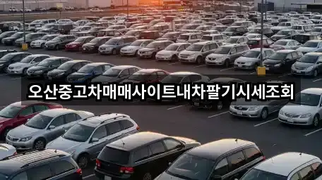 경기 오산시 수청동 중고차 지도/주소 5건