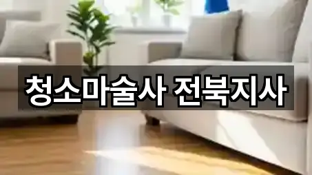 청소마술사 전북지사