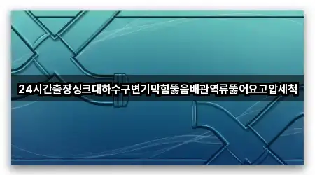 24시간출장싱크대하수구변기막힘뚫음배관역류뚫어요고압세척