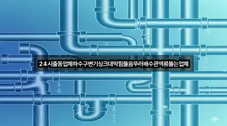24시출동업체하수구변기싱크대막힘뚫음뚜러배수관역류뚫는업체