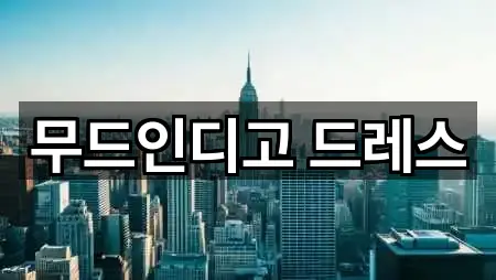 무드인디고 드레스