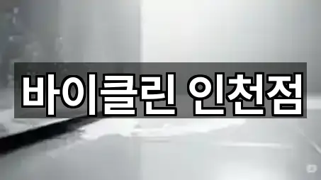 바이클린 인천점