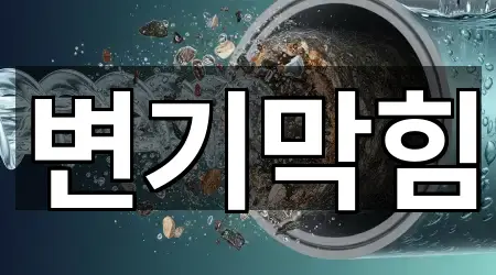 변기막힘
