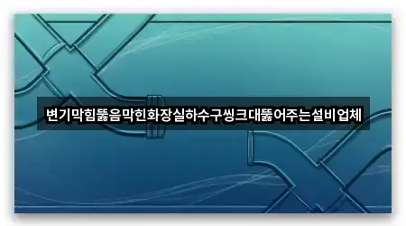 변기막힘뚫음막힌화장실하수구씽크대뚫어주는설비업체