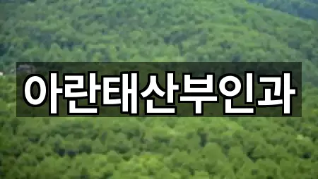 아란태산부인과