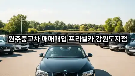 원주중고차 매매매입 프리셀카 강원도지점