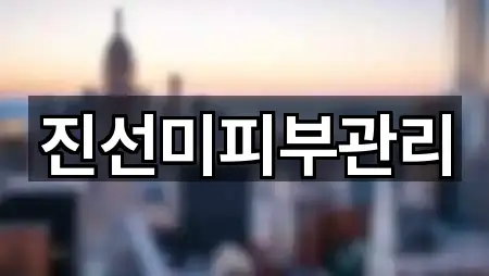 진선미피부관리