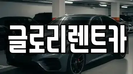 강원 고성군 장기렌트카 전문 글로리렌트카