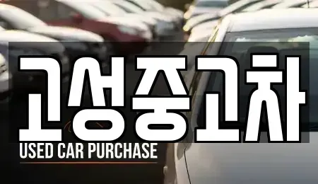 강원 고성군 중고차 전문 고성중고차