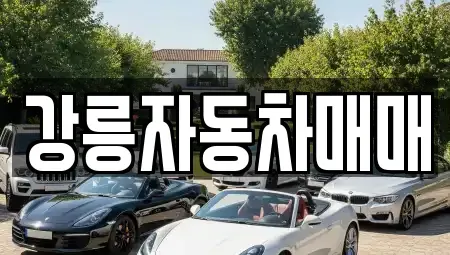 강원특별자치도 강릉시 장현동 중고차 전문 강릉자동차매매