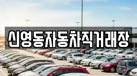 강원특별자치도 강릉시 장현동 중고차 전문 신영동자동차직거래장