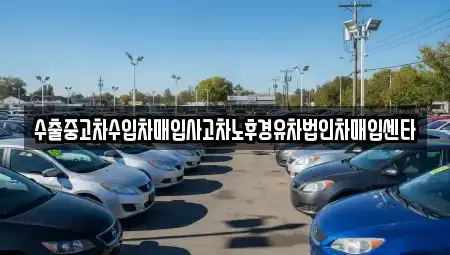 강원특별자치도 강릉시 장현동 중고차매입 전문 수출중고차수입차매입사고차노후경유차법인차매입센타