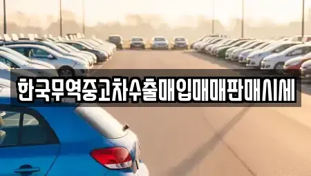 강원특별자치도 강릉시 장현동 중고차매입 전문 한국무역중고차수출매입매매판매시세