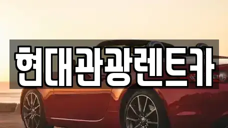 강원특별자치도 속초시 노학동 렌트카 전문 현대관광렌트카