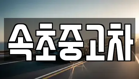 강원특별자치도 속초시 노학동 중고차매매 전문 속초중고차