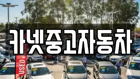 강원특별자치도 속초시 노학동 중고차매매 전문 카넷중고자동차