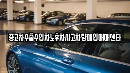 강원특별자치도 속초시 노학동 중고차매입 전문 중고차수출수입차노후차사고차량매입매매센타