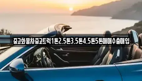 강원특별자치도 속초시 노학동 중고차매입 전문 중고화물차중고트럭1톤2.5톤3.5톤4.5톤5톤매매수출매입