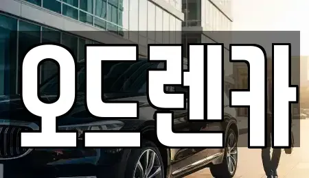 경기 부천시 소사구 단기렌트카 전문 오드렌카