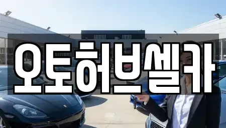 경기 용인시 중고차 전문 오토허브셀카