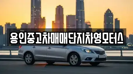 경기 용인시 중고차 전문 용인중고차매매단지차영모터스