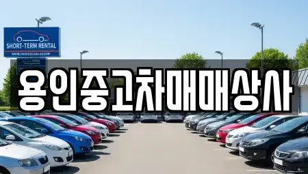 경기 용인시 중고차 전문 용인중고차매매상사