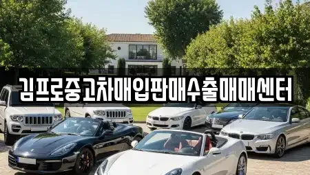 경기 용인시 중고차매입 전문 김프로중고차매입판매수출매매센터