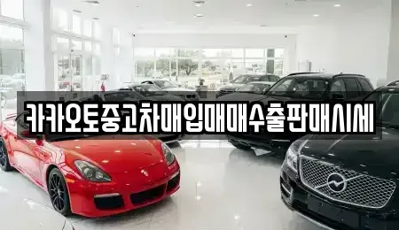 경기 용인시 중고차매입 전문 카카오토중고차매입매매수출판매시세