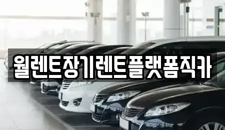 경기 용인시 처인구 장기렌트카 전문 월렌트장기렌트플랫폼직카