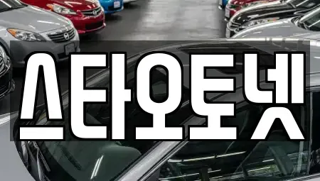 경기 용인시 처인구 중고차매매 전문 스타오토넷