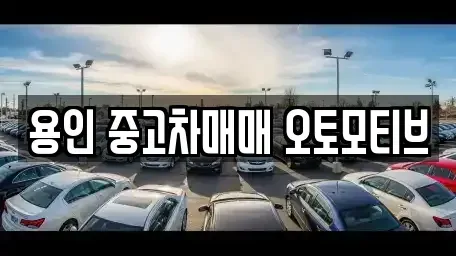 경기 용인시 처인구 중고차매매 전문 용인 중고차매매 오토모티브