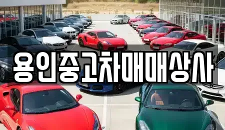 경기 용인시 처인구 중고차매매 전문 용인중고차매매상사