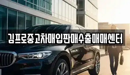 경기 용인시 처인구 중고차매입 전문 김프로중고차매입판매수출매매센터