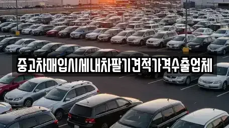 경기 용인시 처인구 중고차매입 전문 중고차매입시세내차팔기견적가격수출업체
