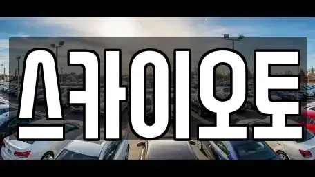 경기도 부천시 소사구 단기렌트카 전문 스카이오토