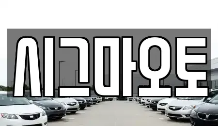 경기도 부천시 소사구 단기렌트카 전문 시그마오토