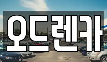 경기도 부천시 소사구 단기렌트카 전문 오드렌카