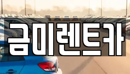 경기도 부천시 오정구 여월동 렌트카 전문 금미렌트카